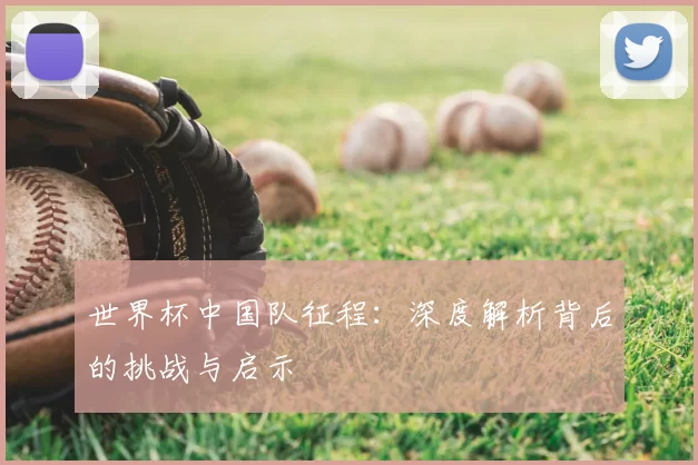 世界杯中国队征程：深度解析背后的挑战与启示