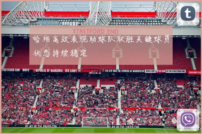 哈珀高效表现助球队取胜关键球员状态持续稳定