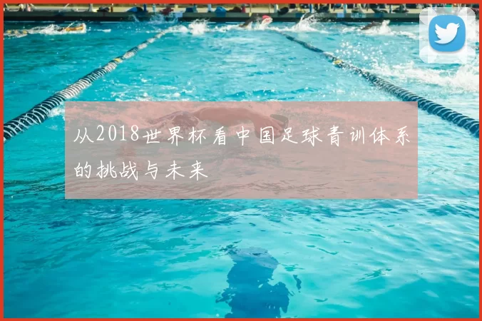 从2018世界杯看中国足球青训体系的挑战与未来