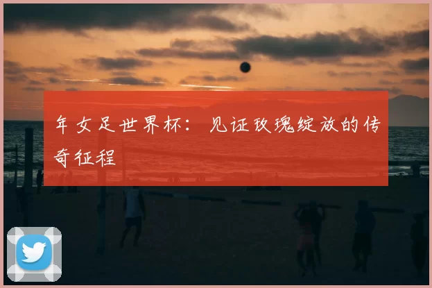 年女足世界杯：见证玫瑰绽放的传奇征程