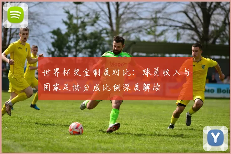 世界杯奖金制度对比:球员收入与国家足协分成比例深度解读