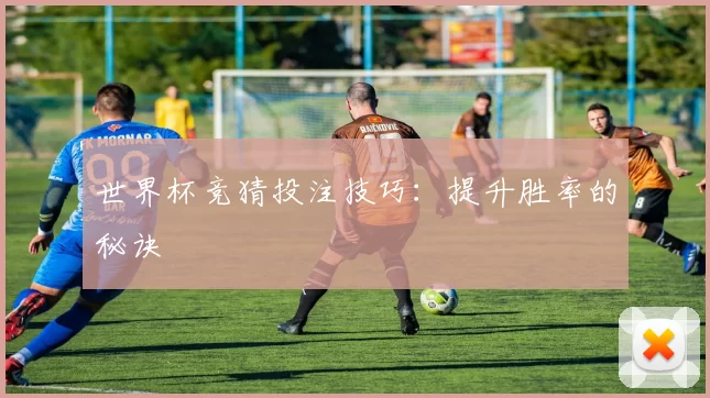 世界杯竞猜投注技巧：提升胜率的秘诀