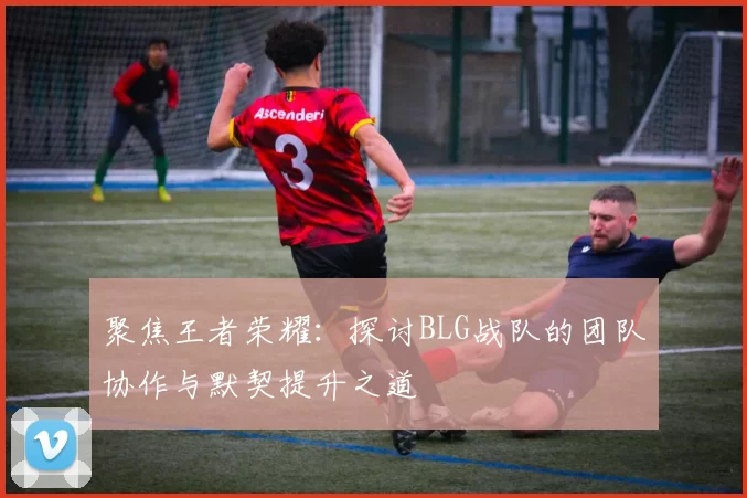 聚焦王者荣耀：探讨BLG战队的团队协作与默契提升之道