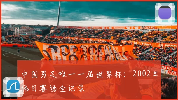 中国男足唯一一届世界杯：2002年韩日赛场全记录