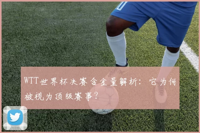 WTT世界杯决赛含金量解析：它为何被视为顶级赛事？