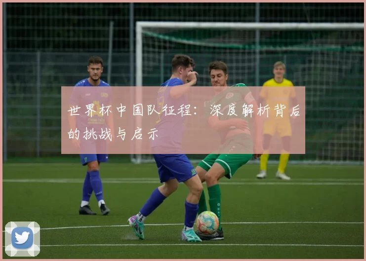 世界杯中国队征程:深度解析背后的挑战与启示