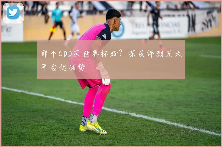 那个app买世界杯好?深度评测五大平台优劣势