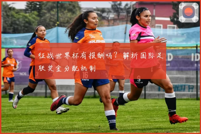 征战世界杯有报酬吗？解析国际足联奖金分配机制