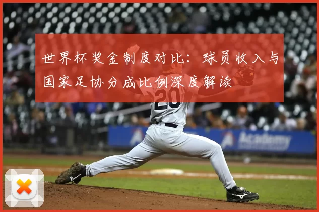 世界杯奖金制度对比：球员收入与国家足协分成比例深度解读