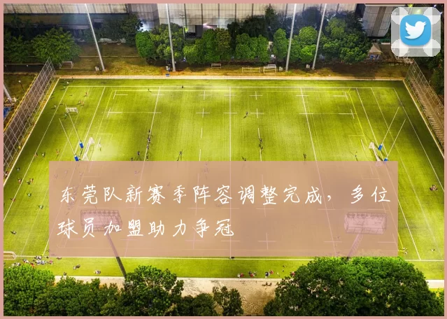 东莞队新赛季阵容调整完成，多位球员加盟助力争冠