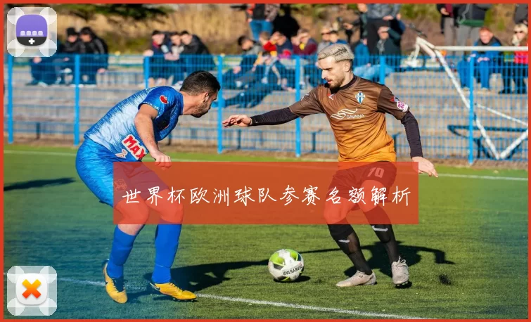 世界杯欧洲球队参赛名额解析