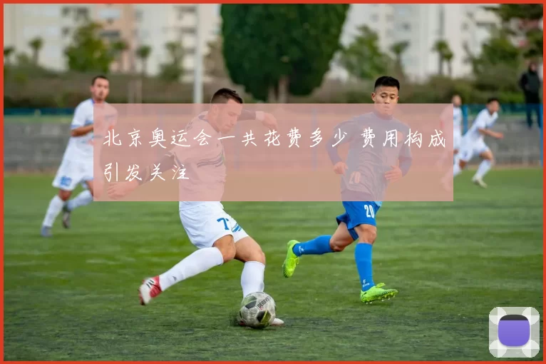 北京奥运会一共花费多少 费用构成引发关注