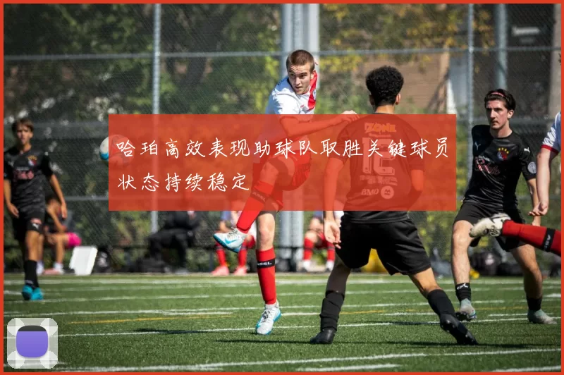 哈珀高效表现助球队取胜关键球员状态持续稳定