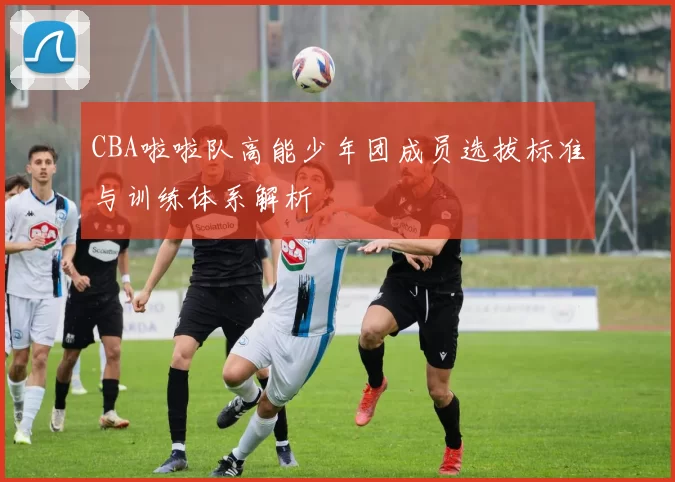 CBA啦啦队高能少年团成员选拔标准与训练体系解析