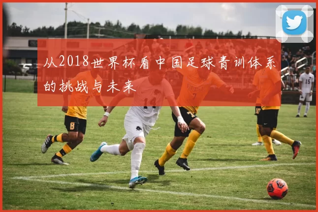 从2018世界杯看中国足球青训体系的挑战与未来