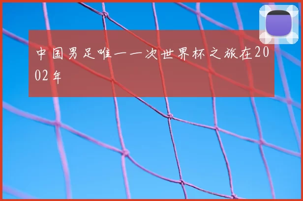 中国男足唯一一次世界杯之旅在2002年
