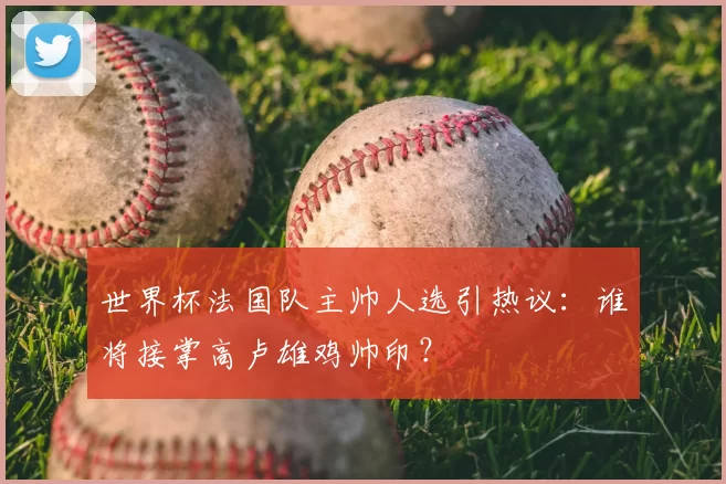 世界杯法国队主帅人选引热议：谁将接掌高卢雄鸡帅印？