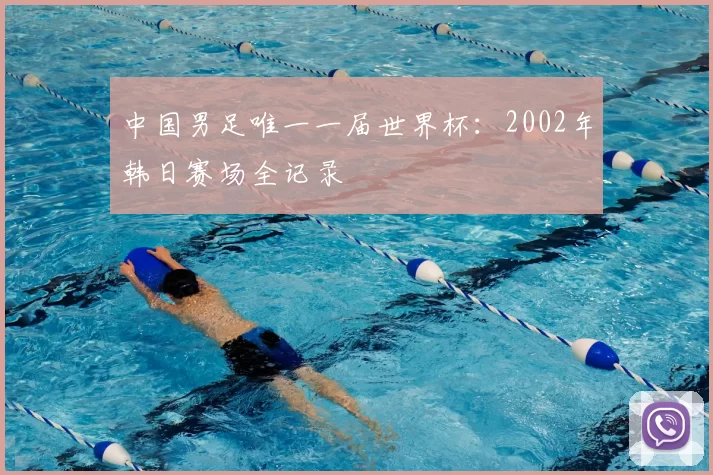 中国男足唯一一届世界杯：2002年韩日赛场全记录