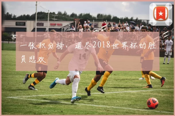 一张积分榜,道尽2018世界杯的胜负悲欢